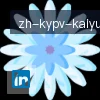 ky开云 logo